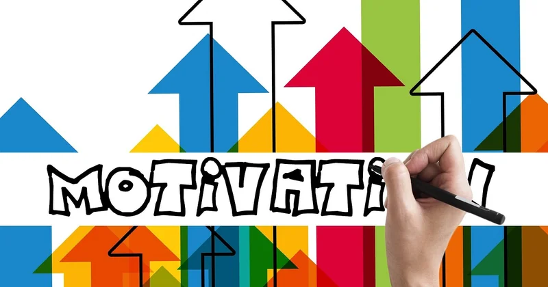 En pratique : que faire concrètement ?